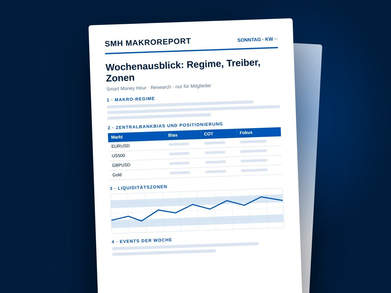 Beispiel Makroreport